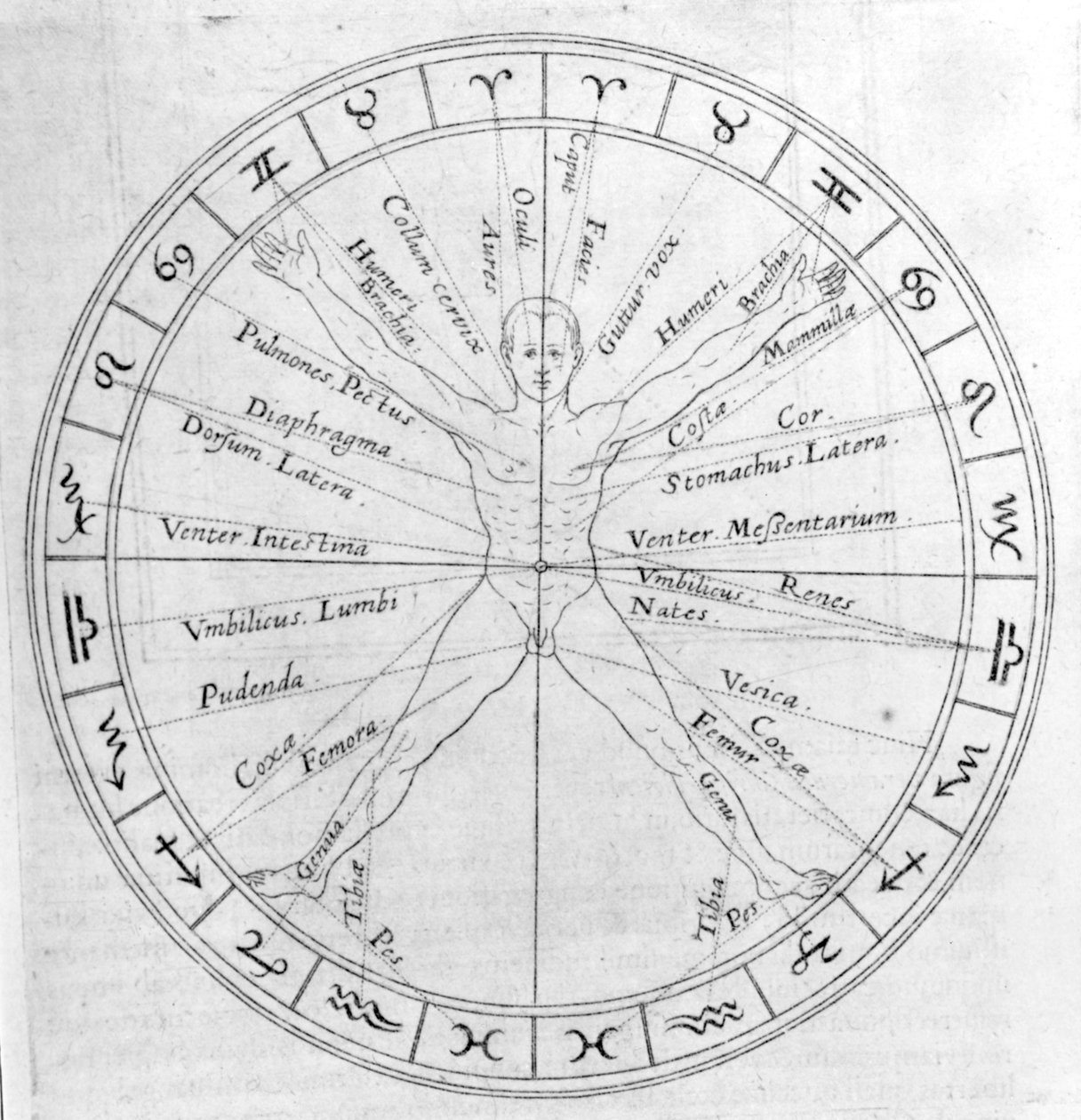 Nauka odlewania horoskopów z „Utriusque Cosmi Historia” Roberta Fludda, wydanie opublikowane w 1618 r. autorstwa English School