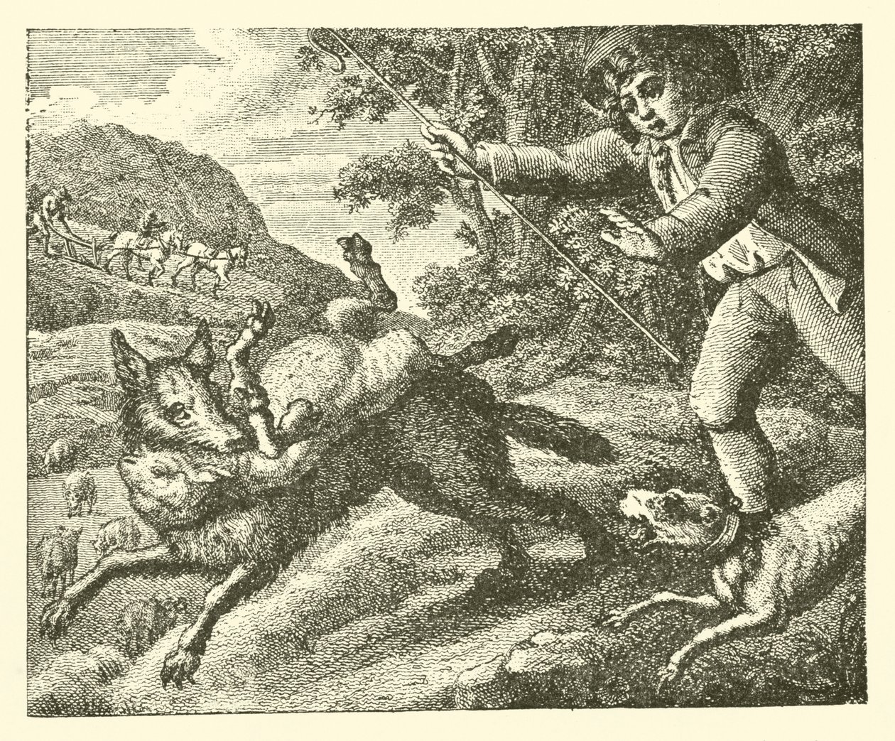 Chłopiec pasterski (rycina) autorstwa English School