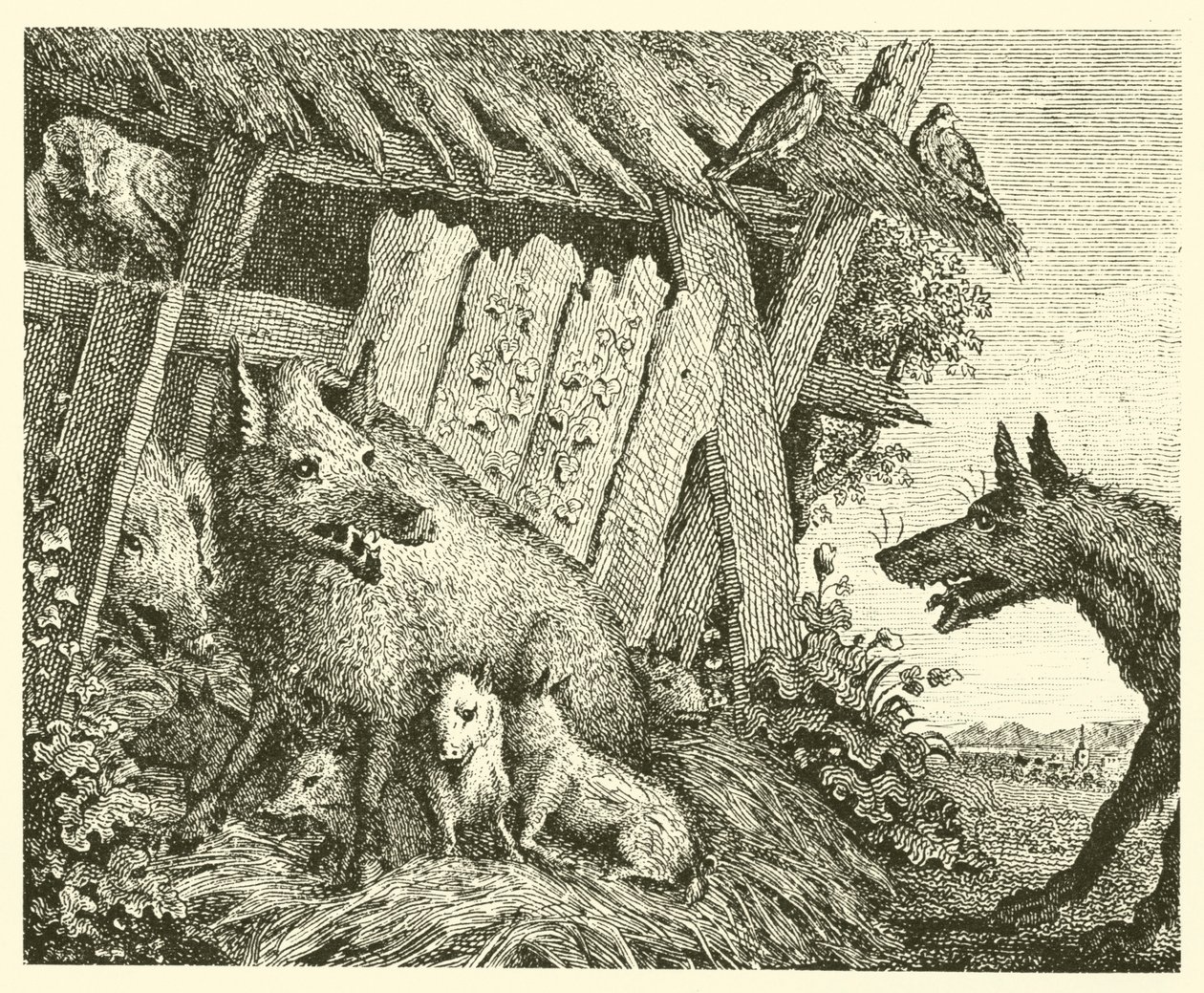 Maciora i wilk (rycina) autorstwa English School