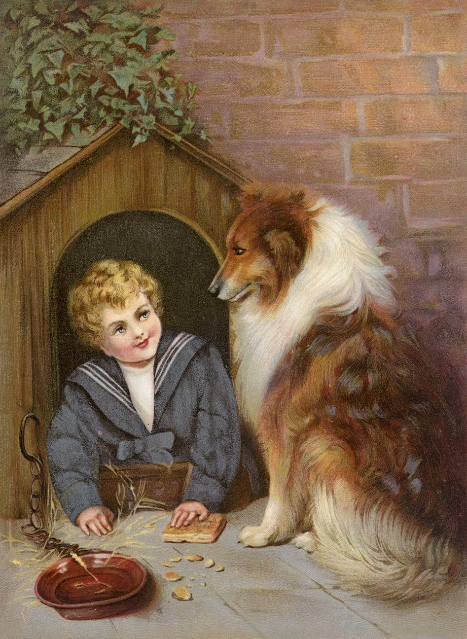 Turned Out - Chłopiec udający psa rasy Collie (kolorowa litografia) autorstwa English School