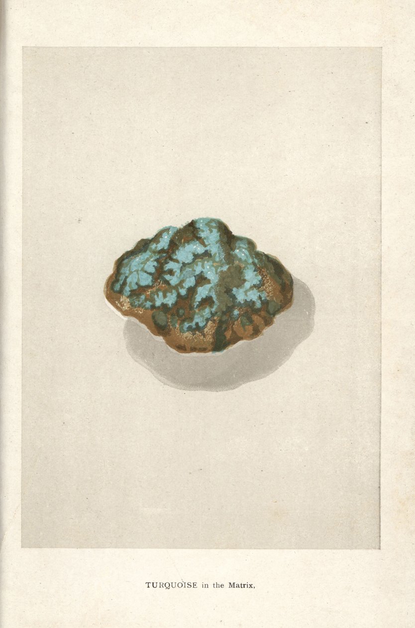 Turkus w matrycy, z „Precious Stones and Gems” Edwina Streetera, Londyn, George Bell & Sons autorstwa English School