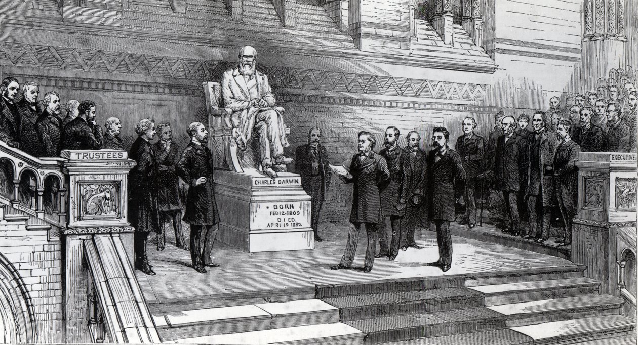 Odsłonięcie pomnika zmarłego Karola Darwina w Muzeum Historii Naturalnej w South Kensington, 9 czerwca 1885 autorstwa English School