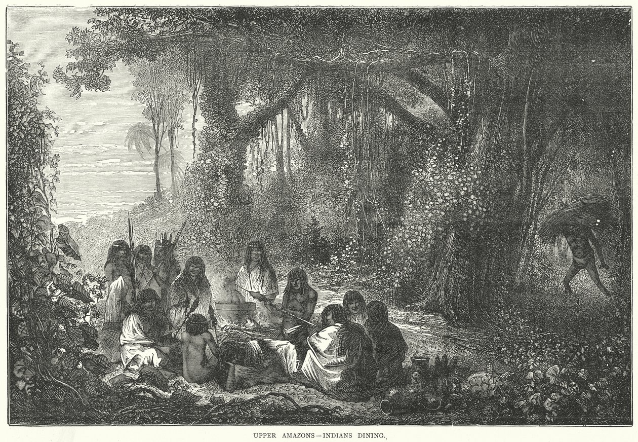 Górne Amazonki - Indianie przy posiłku (rycina) autorstwa English School