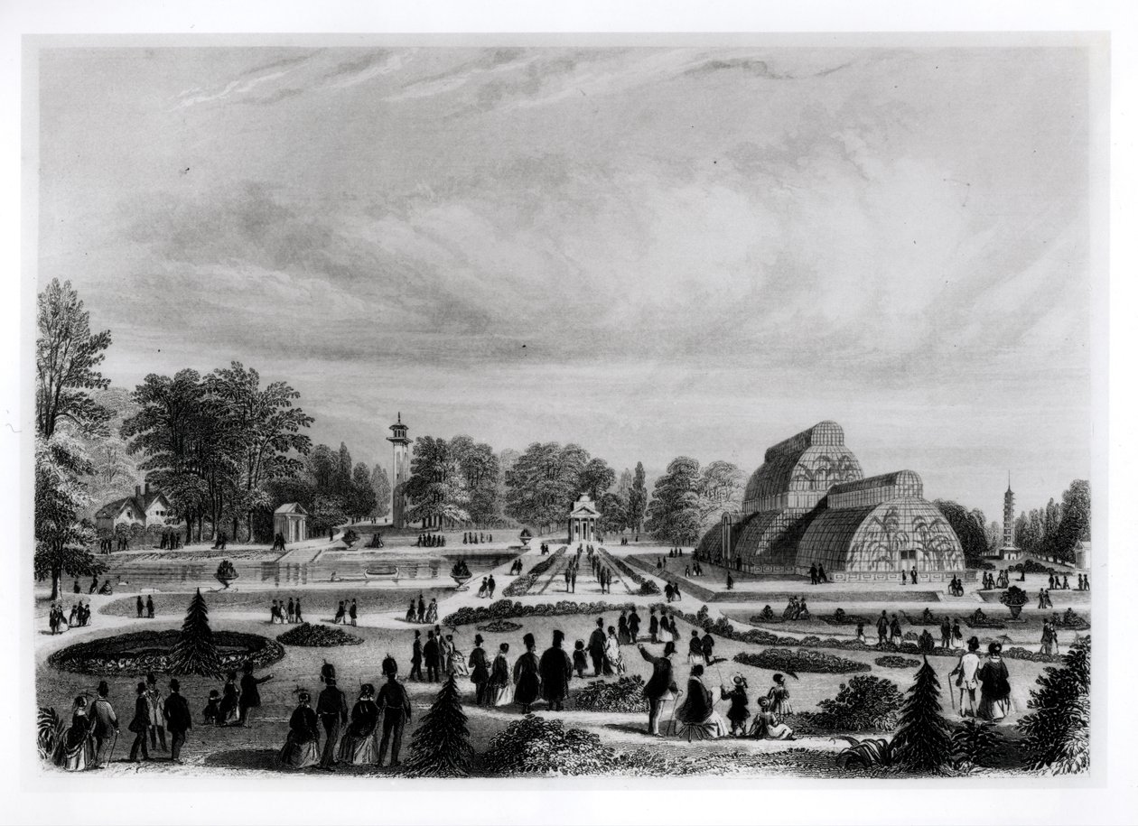 Odwiedzający oglądający palmiarnię w pałacu Kew, ok. 1860 r. autorstwa English School