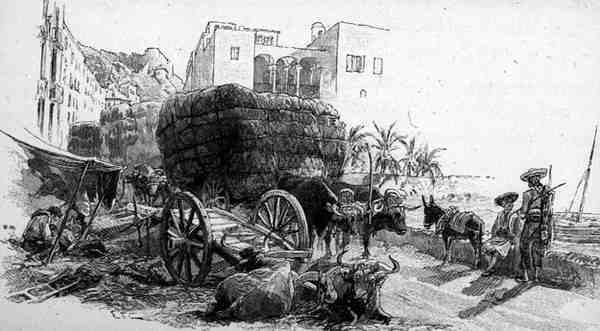 Wagony z trawą esparto, Almeria, Hiszpania, z „Malowniczego Morza Śródziemnego”, tom 3, wydanego przez Cassell and Co. Ltd. autorstwa English School