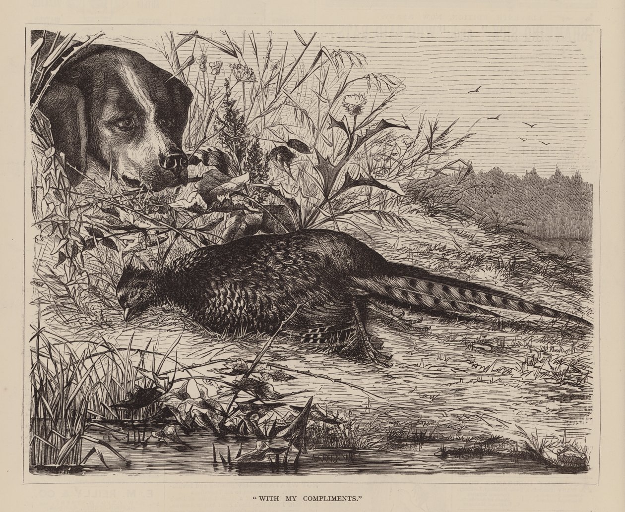 "Z wyrazami szacunku" (grawerunek) autorstwa English School