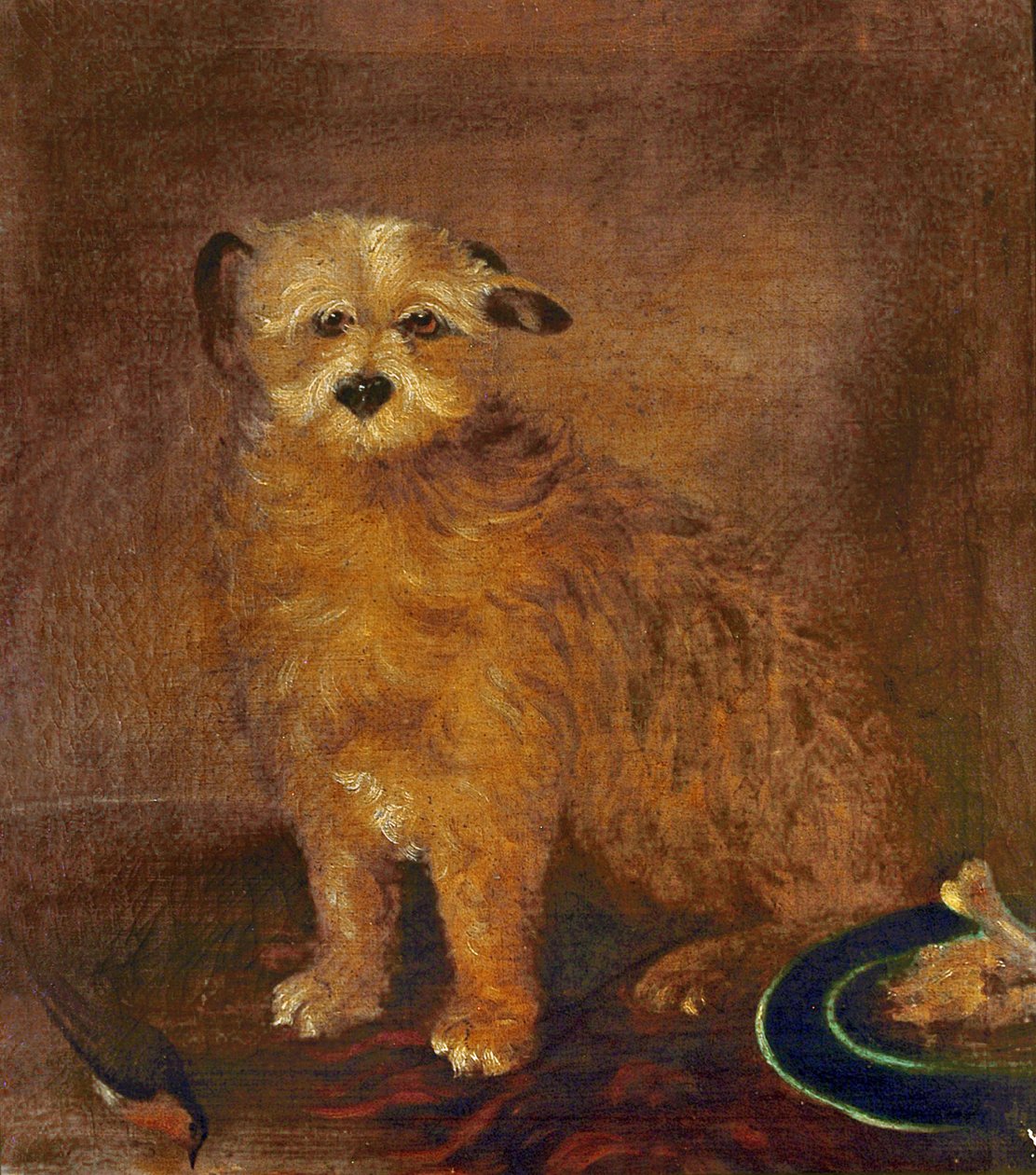 Pies Wordswortha, pieprz, ok. 1806-20 autorstwa English School