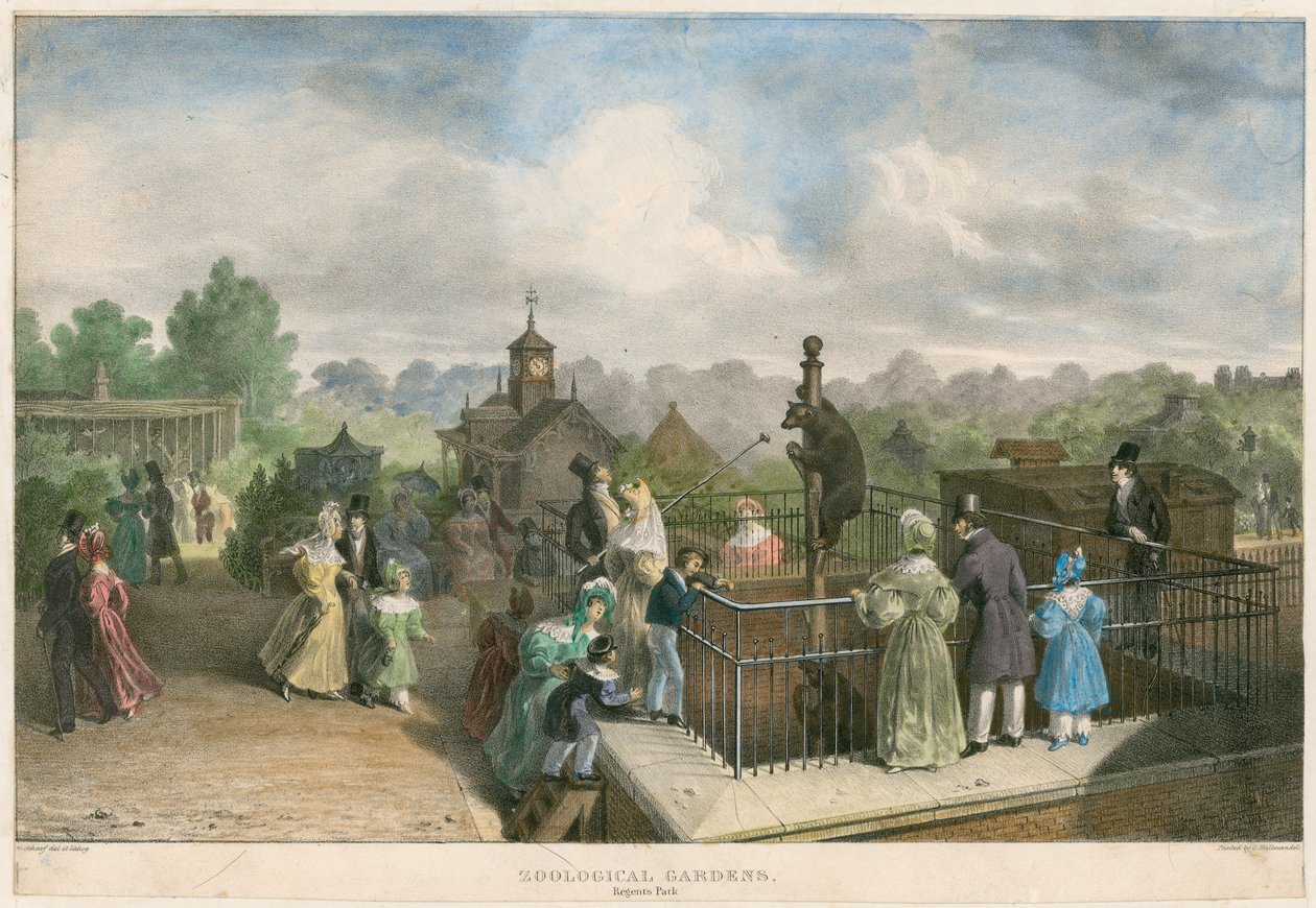 Ogród Zoologiczny, Regent