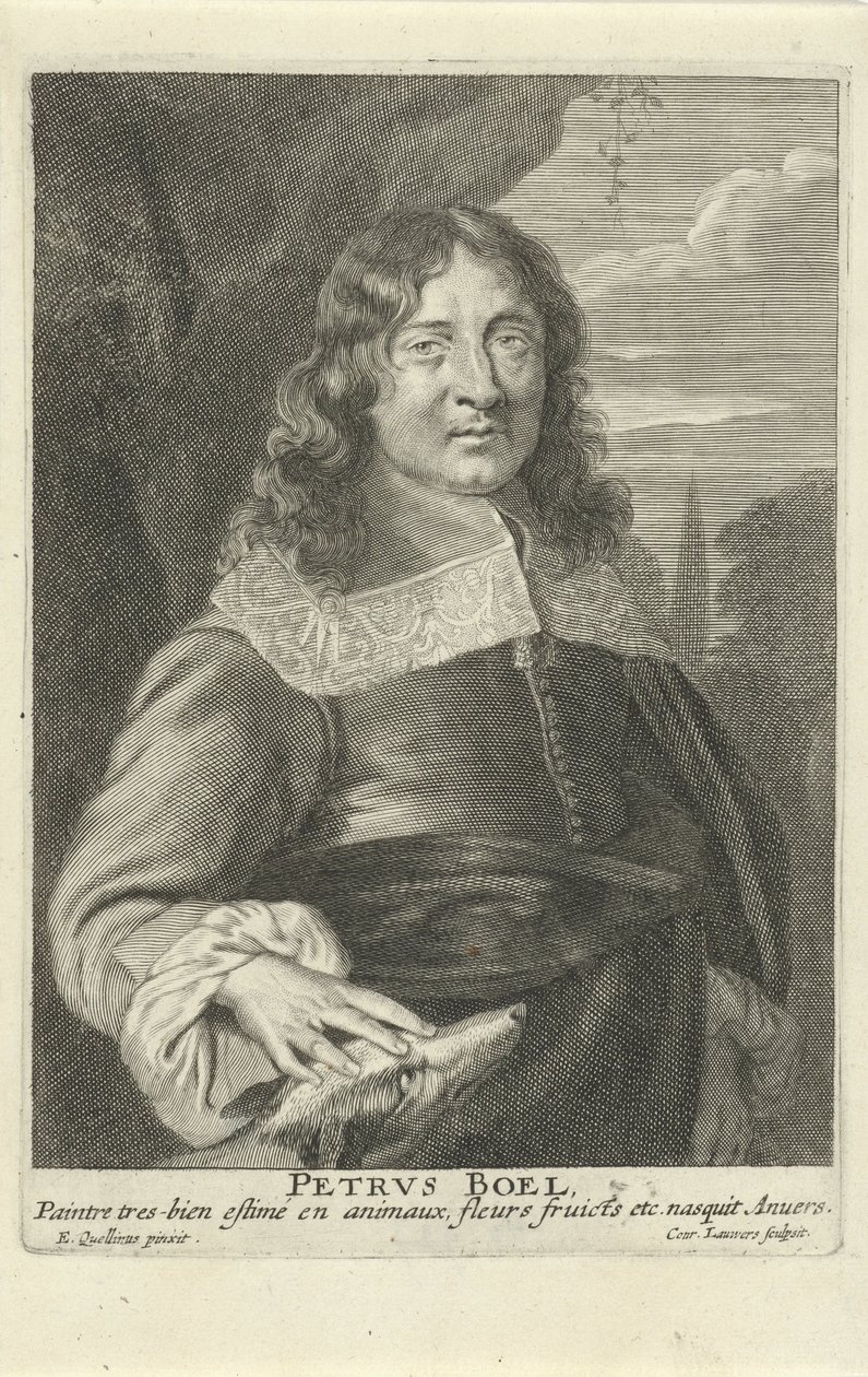 Peeter Boel, sztychowany przez Conrada Lauwersa, ok. 1649-62 (grafika) autorstwa Erasmus (after) Quellinus