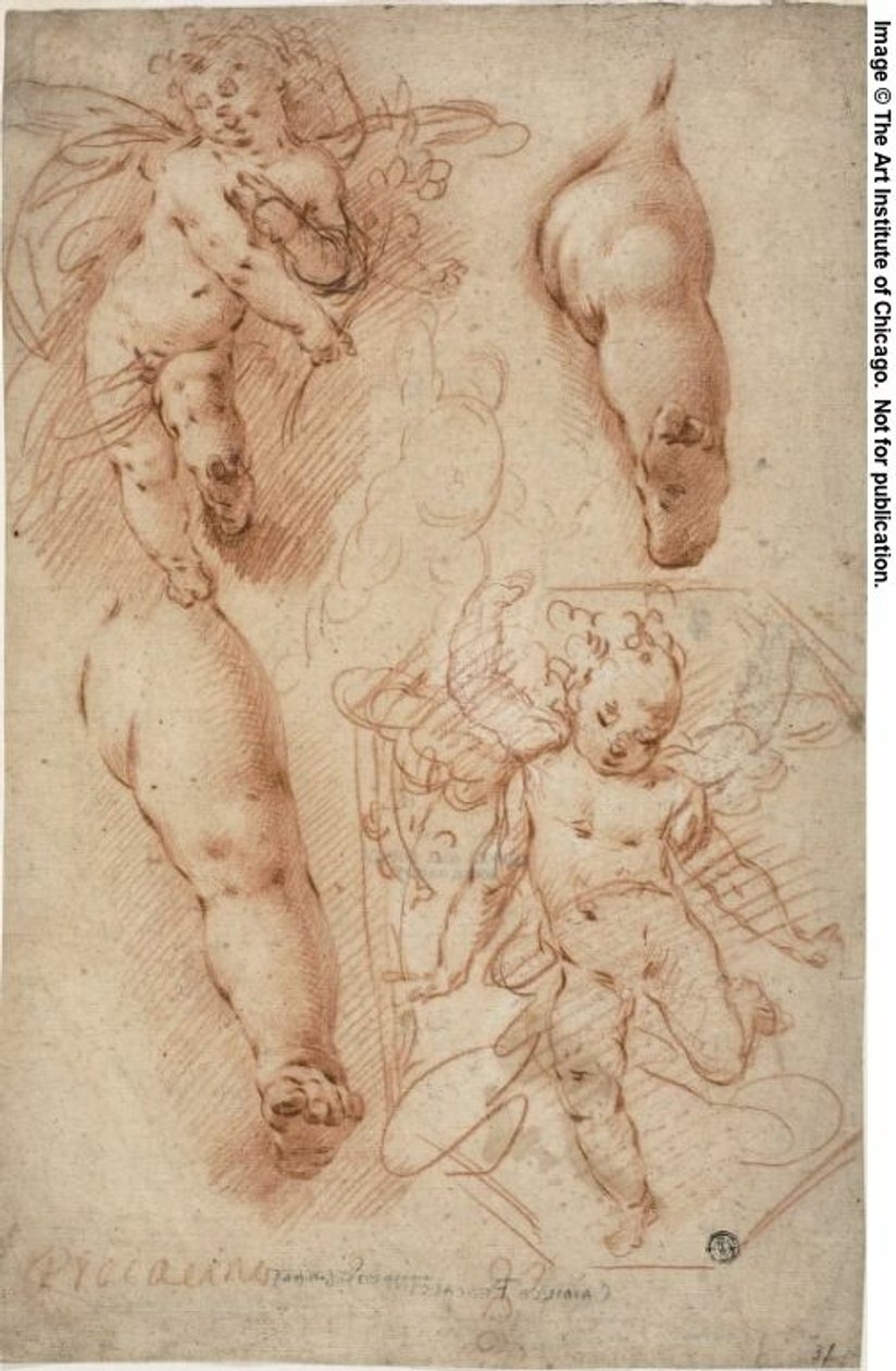 Szkice puttów, nogi autorstwa Ercole Procaccini the younger