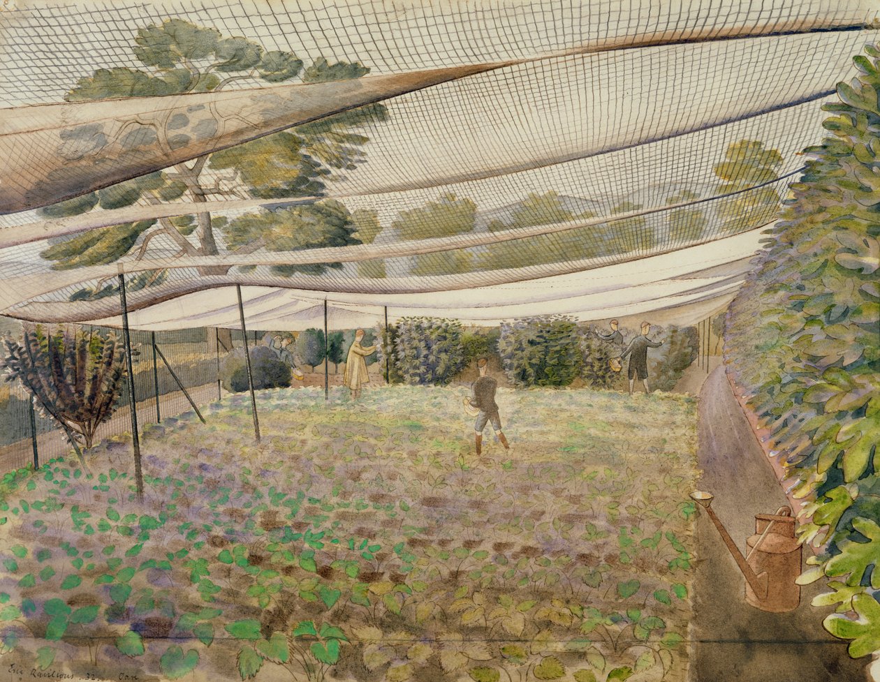 Siatki do truskawek autorstwa Eric Ravilious