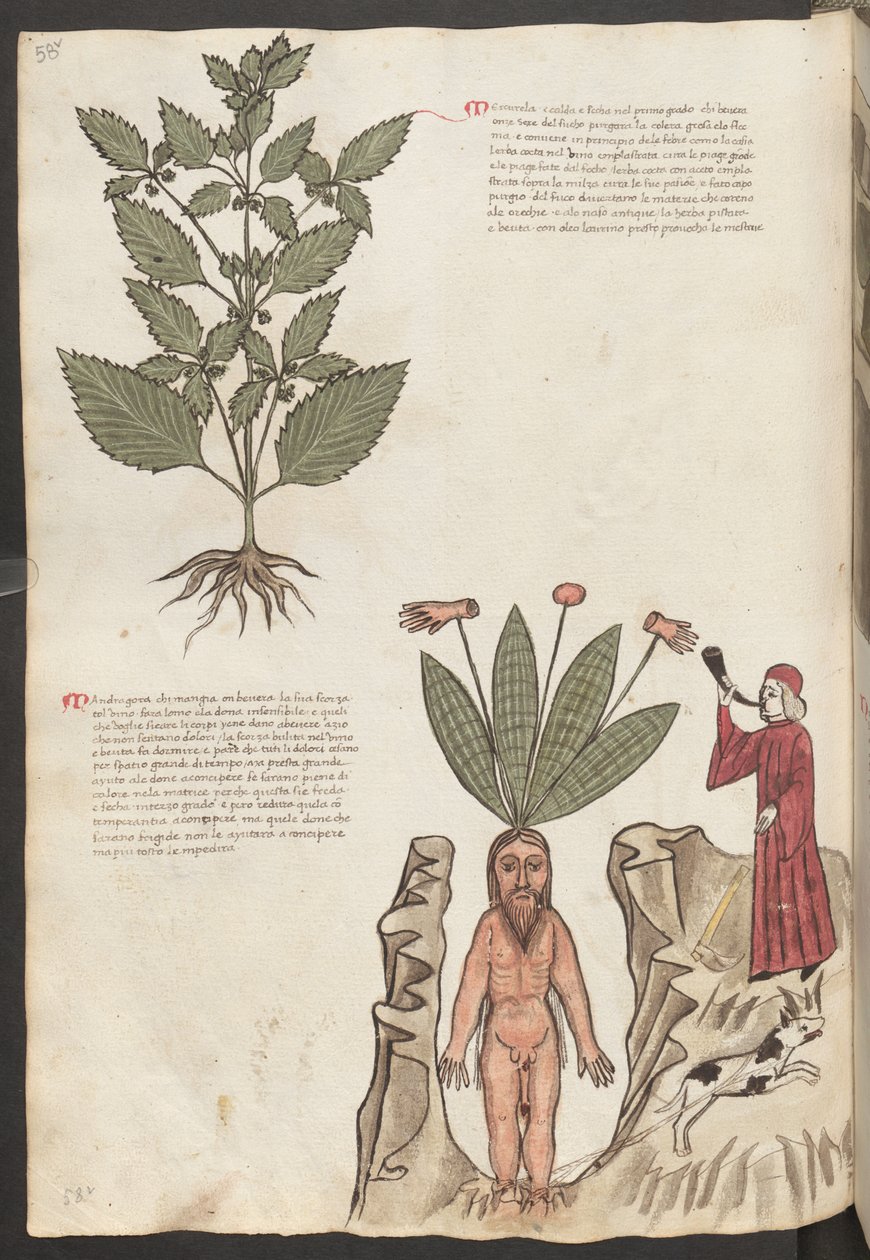  autorstwa Erich Lessing