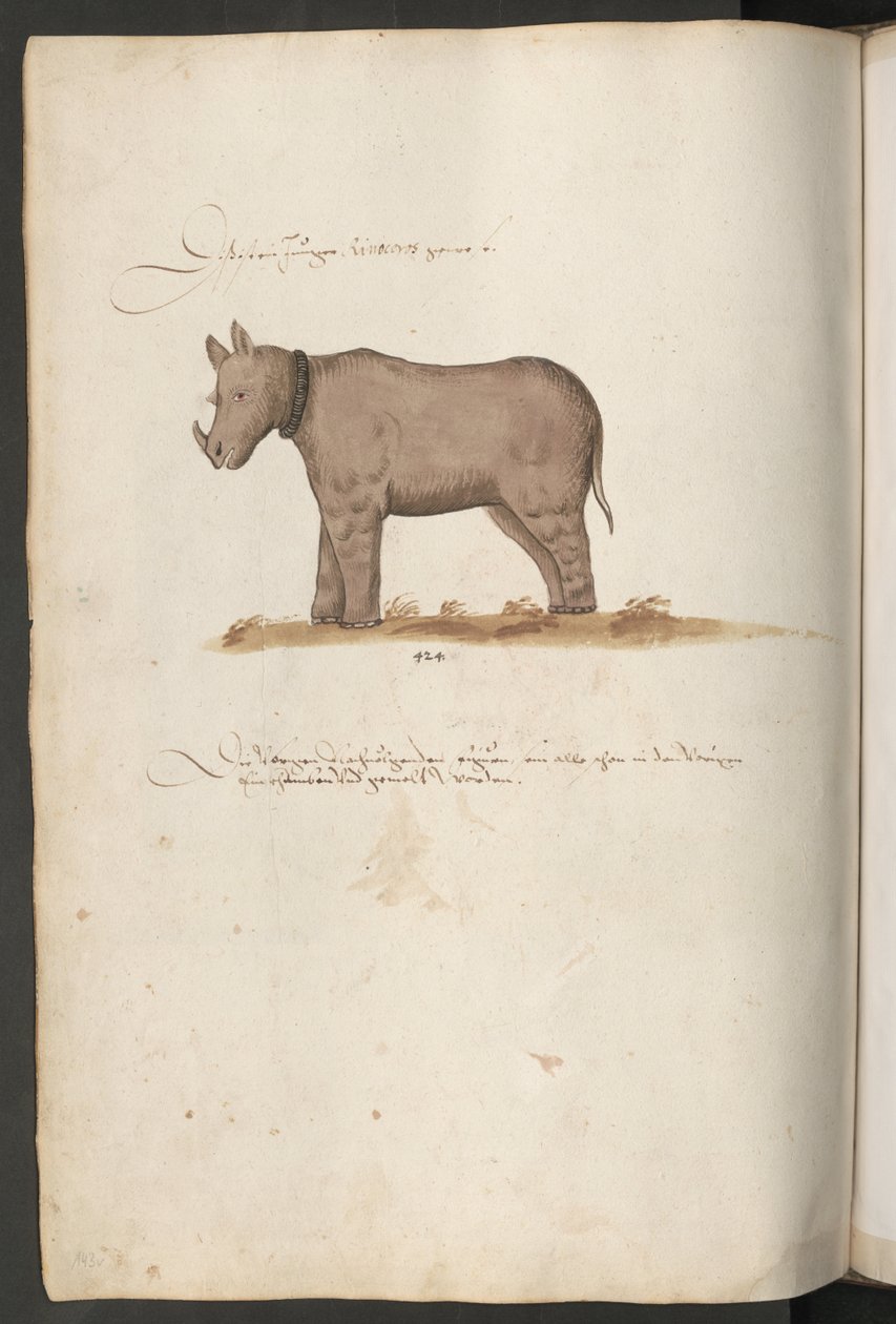  autorstwa Erich Lessing