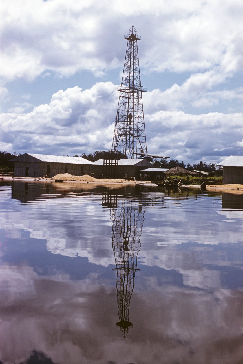 Shell i British Petroleum Company, delta Nigru do Port Harcourt, Nigeria, Afryka autorstwa Erich Lessing
