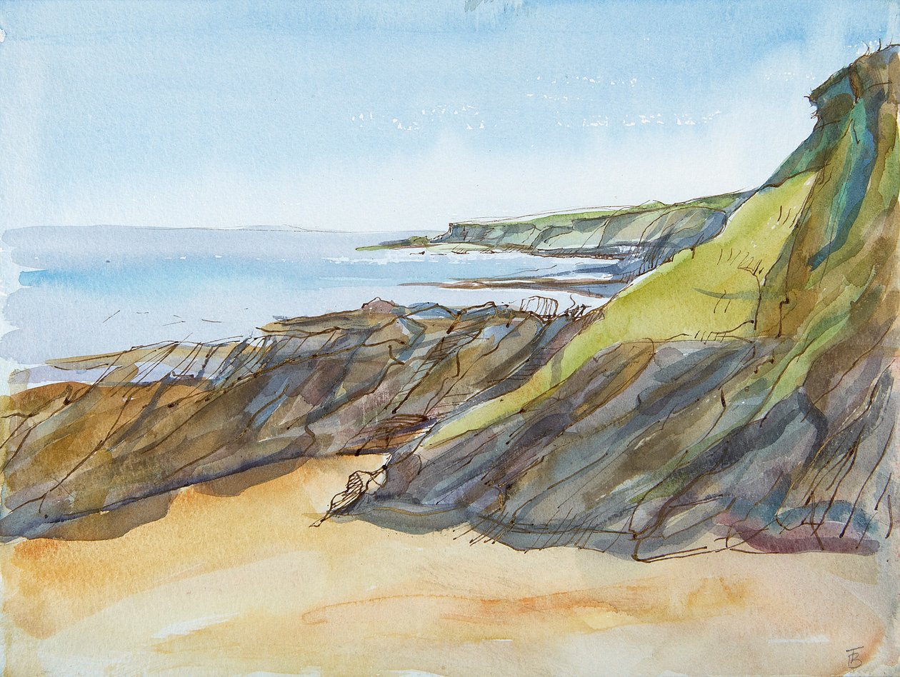 Rocky Beach on the Roseland (pióro i atrament i toaleta na papierze) autorstwa Erin Townsend