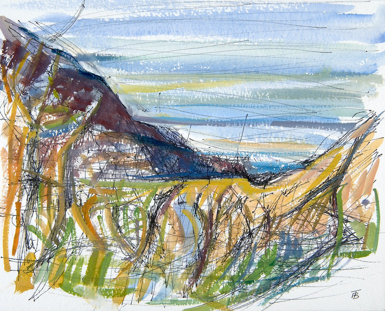 Towards Marsland Mouth, North Devon (pióro i atrament i toaleta na papierze) autorstwa Erin Townsend