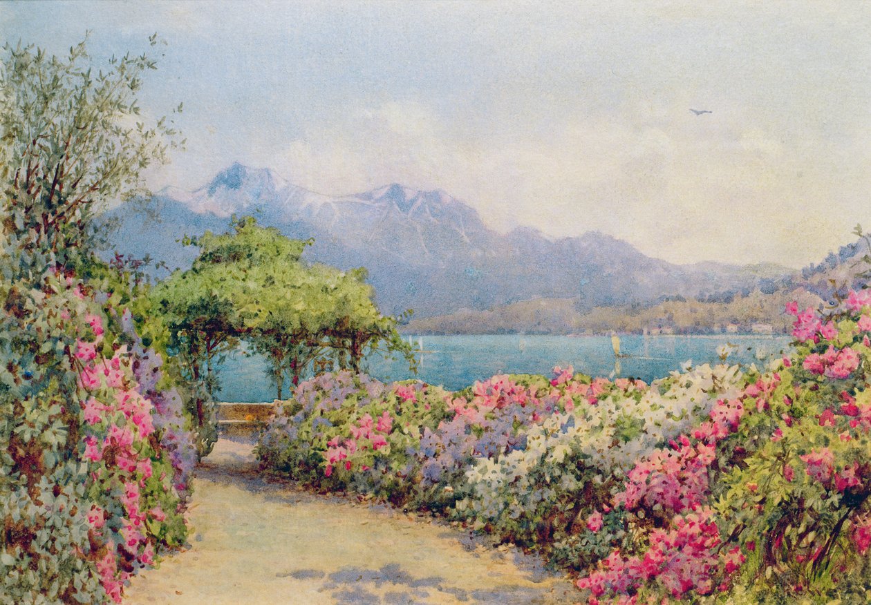 Jezioro Como z Villa Carlotta autorstwa Ernest Arthur Rowe