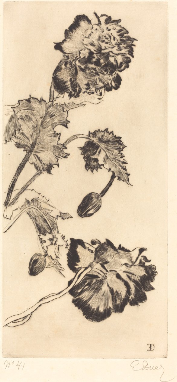 Kwiaty (Fleurs) autorstwa Ernest Ange Duez