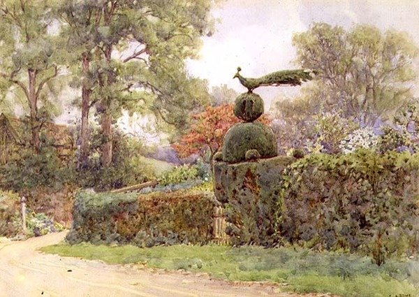Stary żywopłot cisowy, Speldhurst, Kent (akwarela) autorstwa Ernest Arthur Rowe
