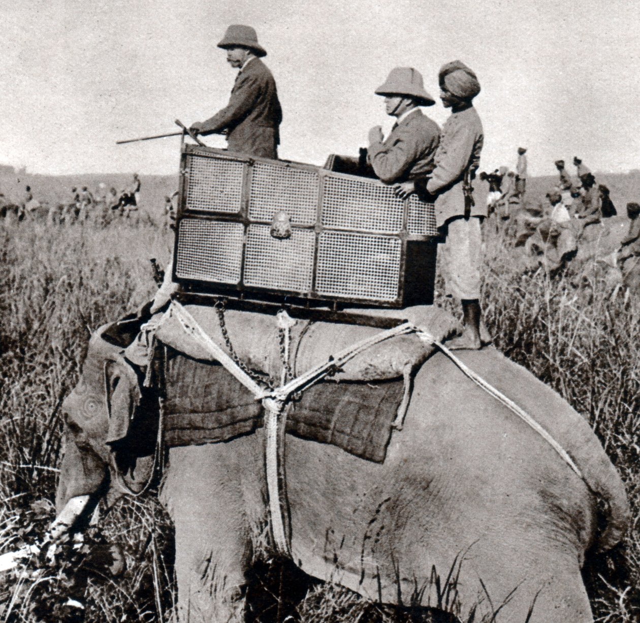 George V 1911 polowanie w Nepalu (1911) autorstwa Ernest Brooks