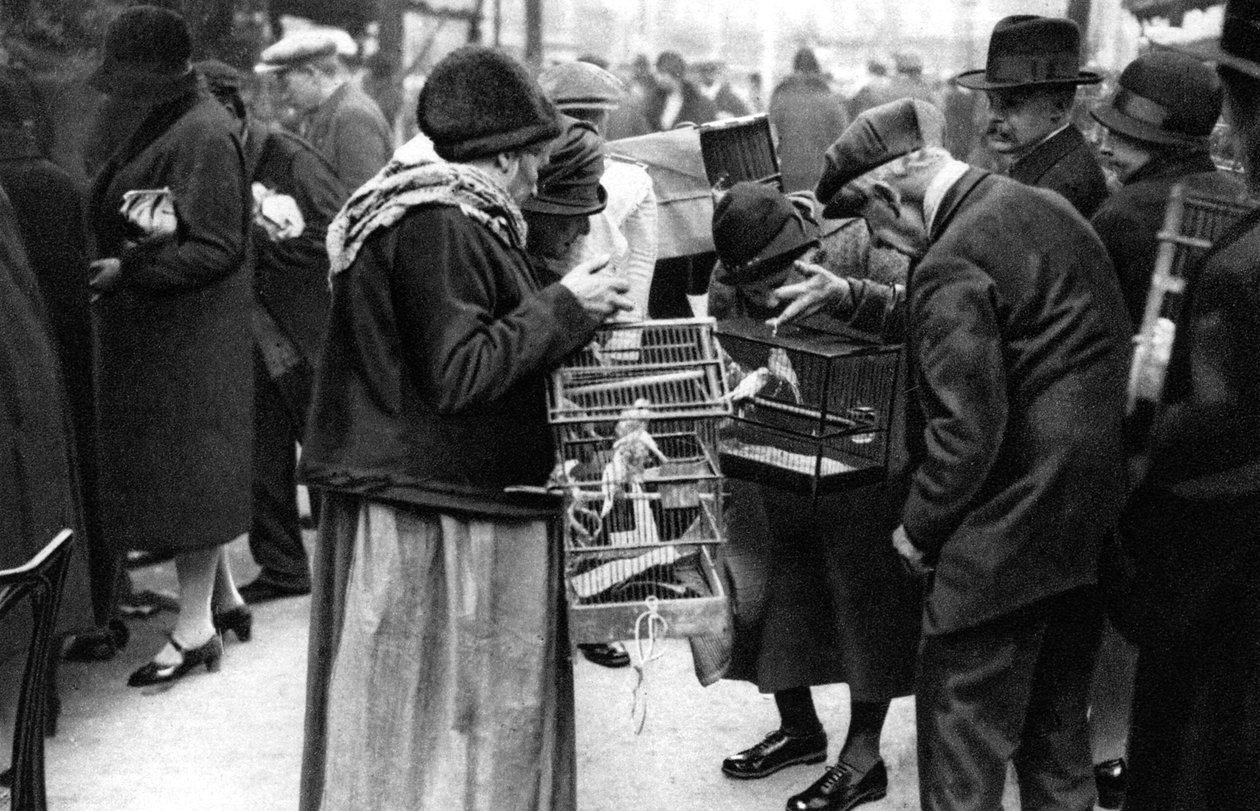 Grupa kupców kanarków, Paryż, 1931. autorstwa Ernest Flammarion
