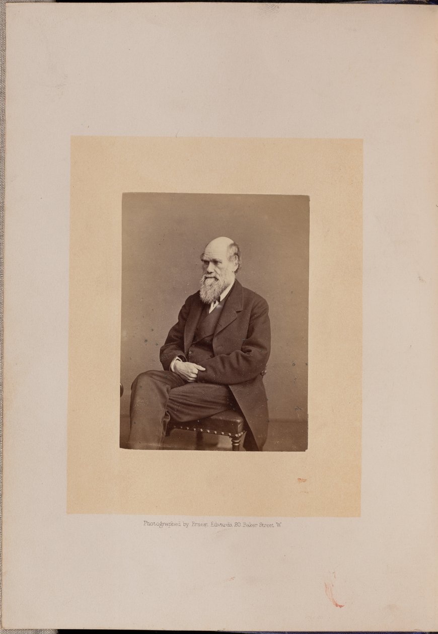 Charles Robert Darwin autorstwa Ernest H. Edwards