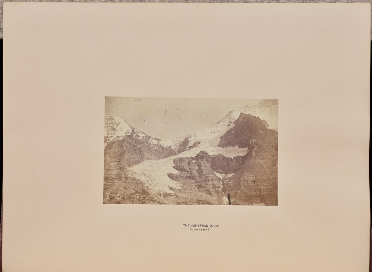 Jarzmo Dziewicy autorstwa Ernest H. Edwards