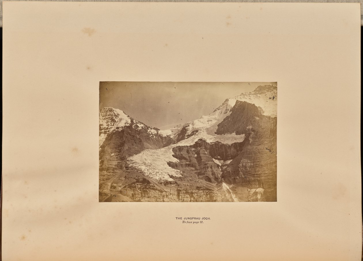 Jarzmo Dziewicy autorstwa Ernest H. Edwards