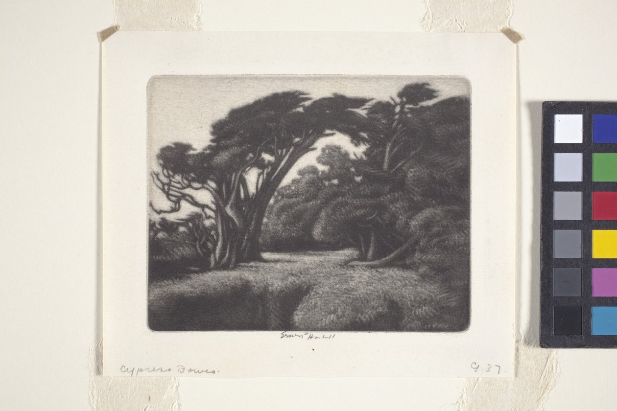 Cyprysowa altana (mezzotinta) autorstwa Ernest Haskell