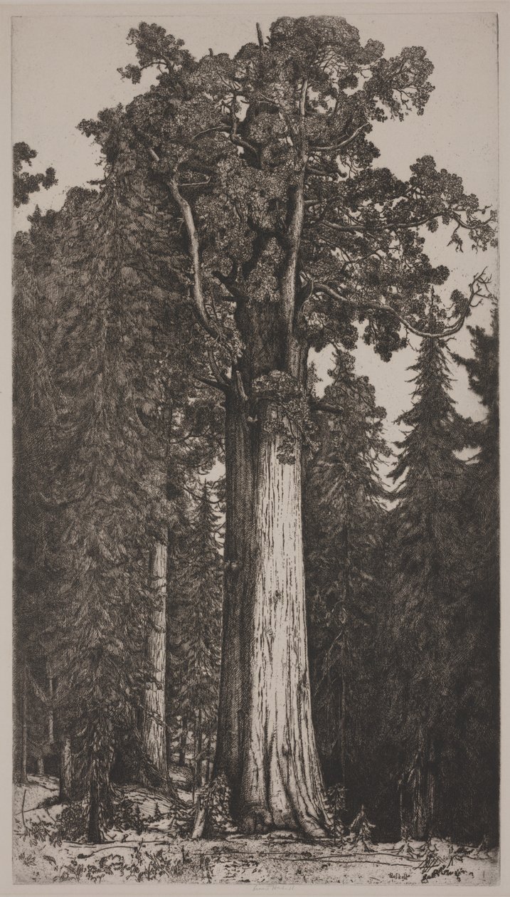 Generał Sherman autorstwa Ernest Haskell