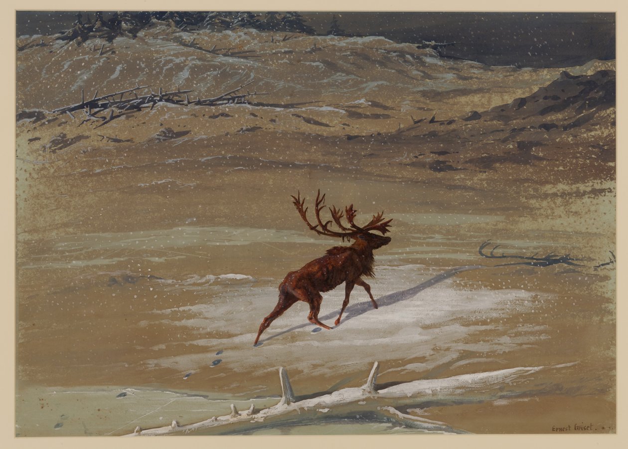 Jeleń, 1871 autorstwa Ernest Henry Griset