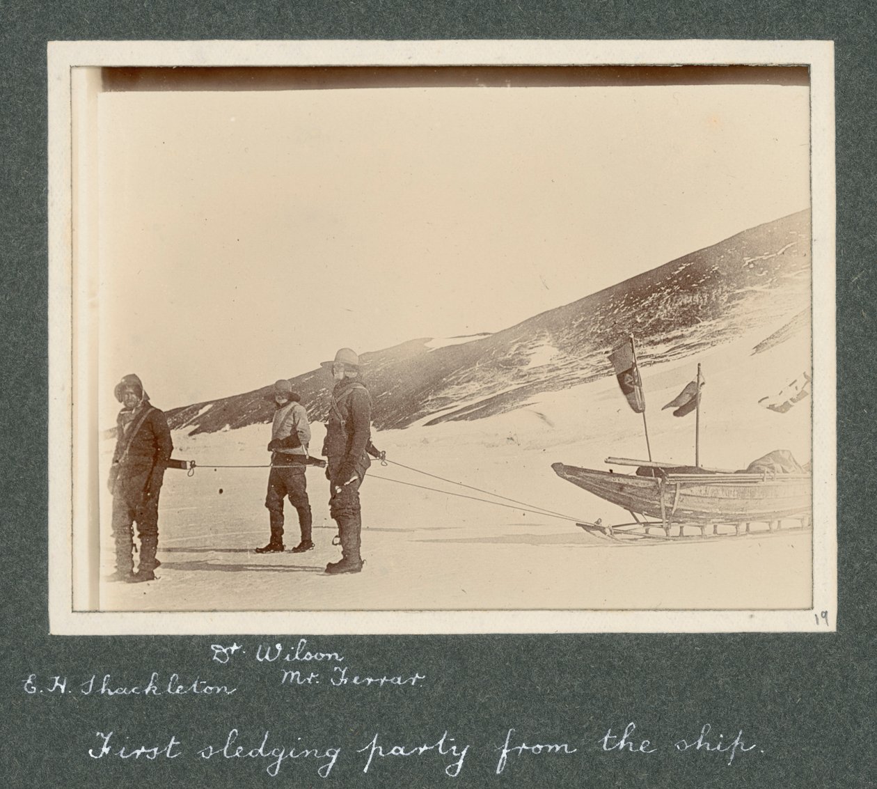 E.H. Shackleton, dr Edward Wilson i Hartley Ferrar (geolog) w uprzęży do sań. Z albumu Sir Ernesta Henry