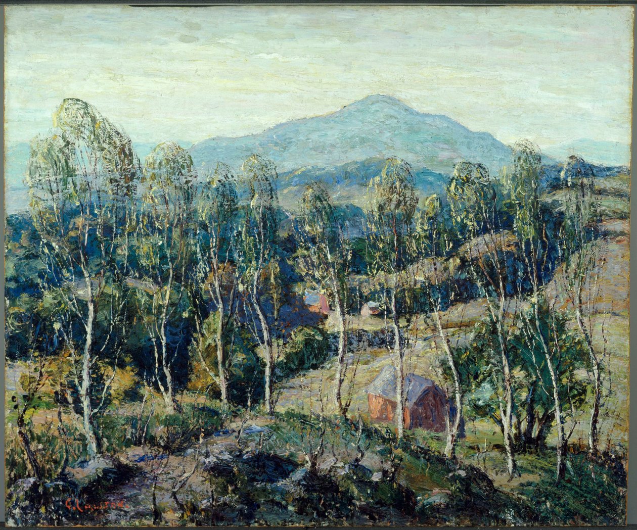 Brzozy z Nowej Anglii autorstwa Ernest Lawson