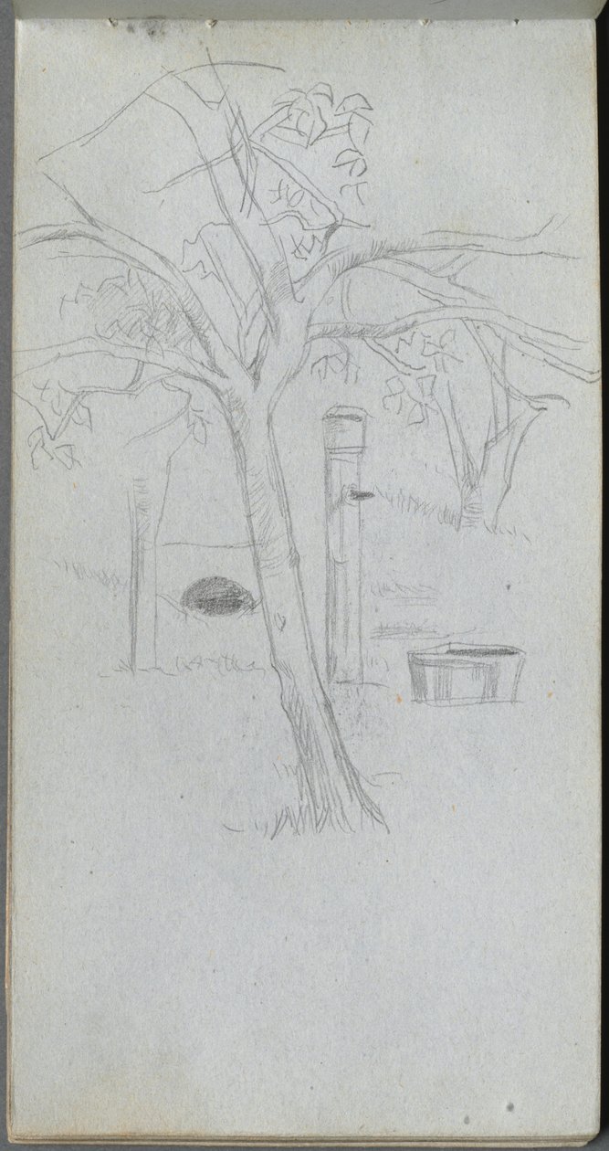 Szkicownik, strona 36: Studium drzewa autorstwa Ernest Meissonier
