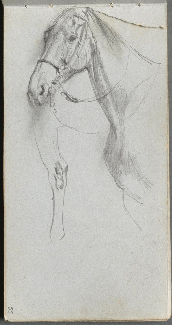 Szkicownik, strona 55: Nauka o koniu. autorstwa Jean-Louis Ernest Meissonier