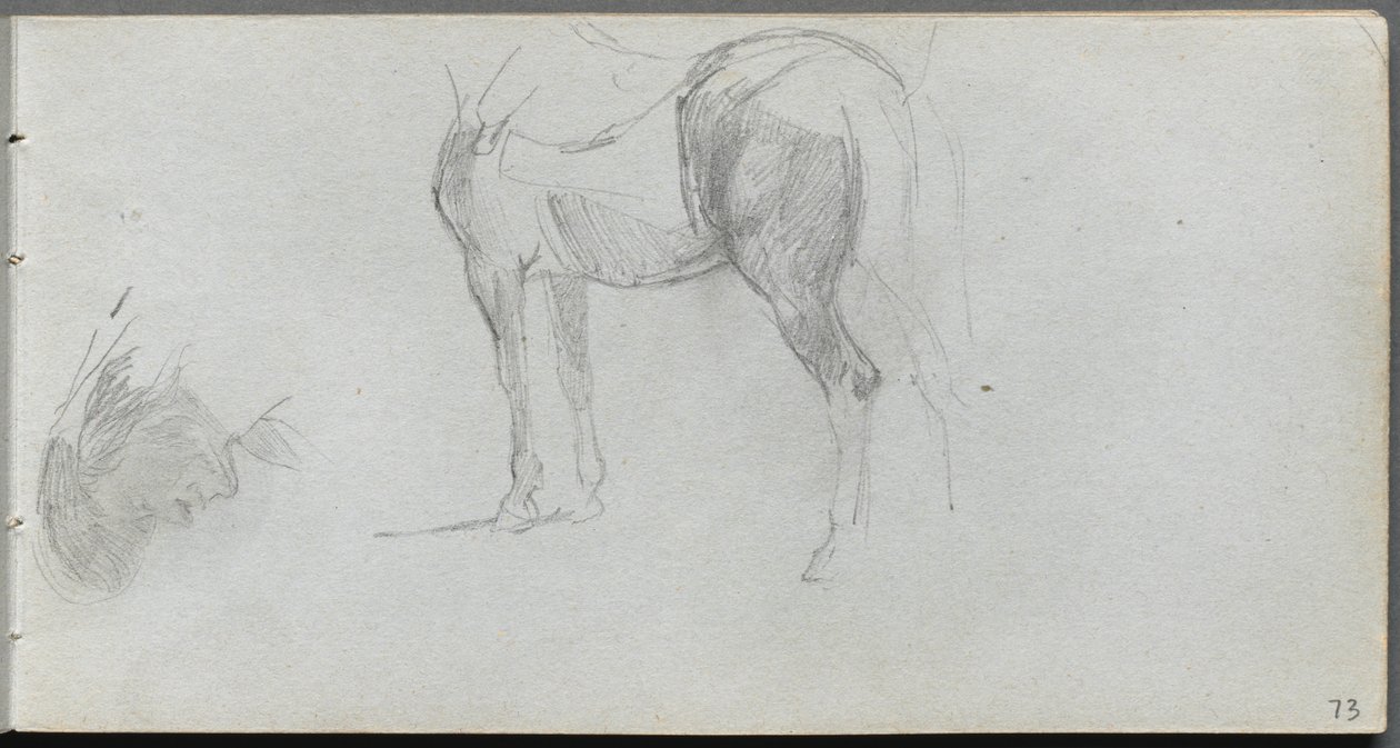 Szkicownik, s. 73: Studium konia, profil autorstwa Ernest Meissonier