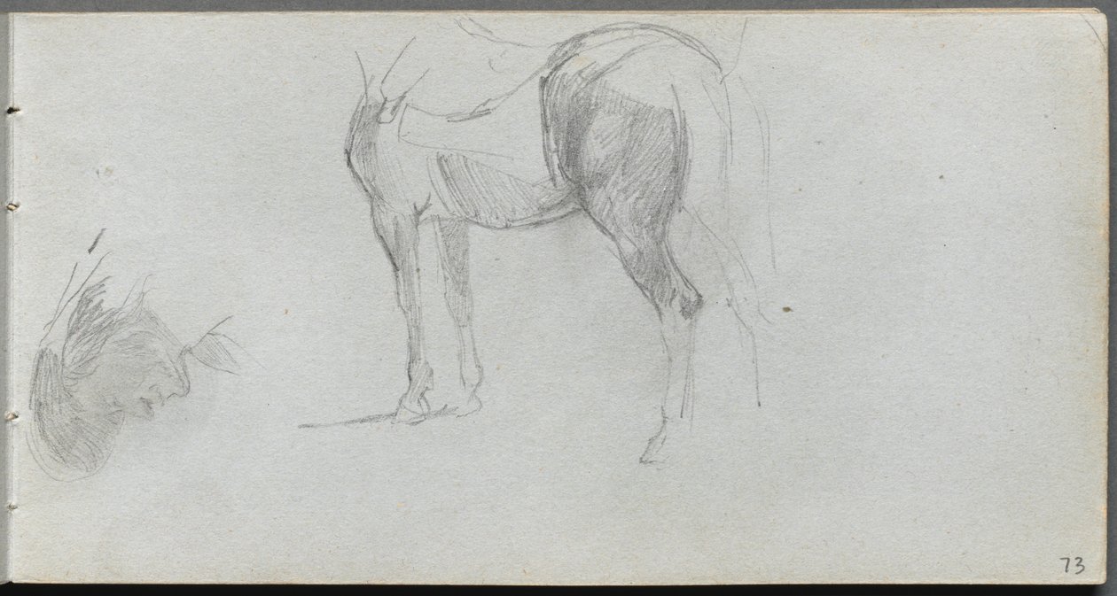 Szkicownik, s. 73: Studium konia, profil. autorstwa Jean-Louis Ernest Meissonier