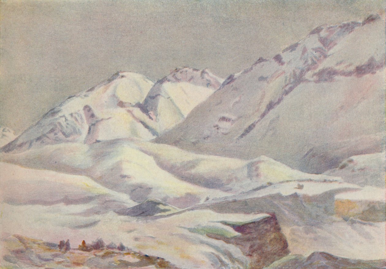 Andy, 1916 autorstwa Ernest William Christmas