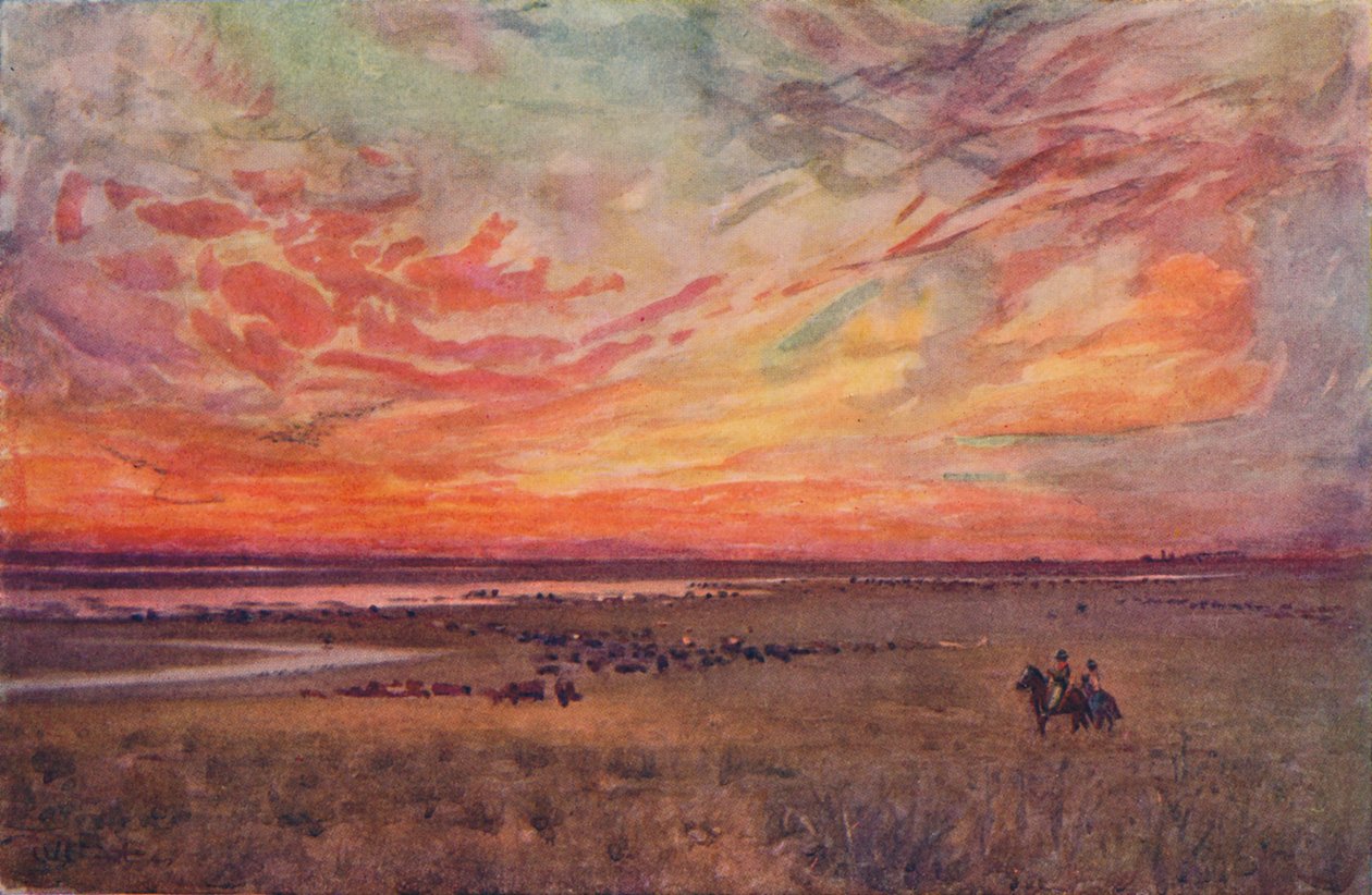 Pole, 1916 autorstwa Ernest William Christmas