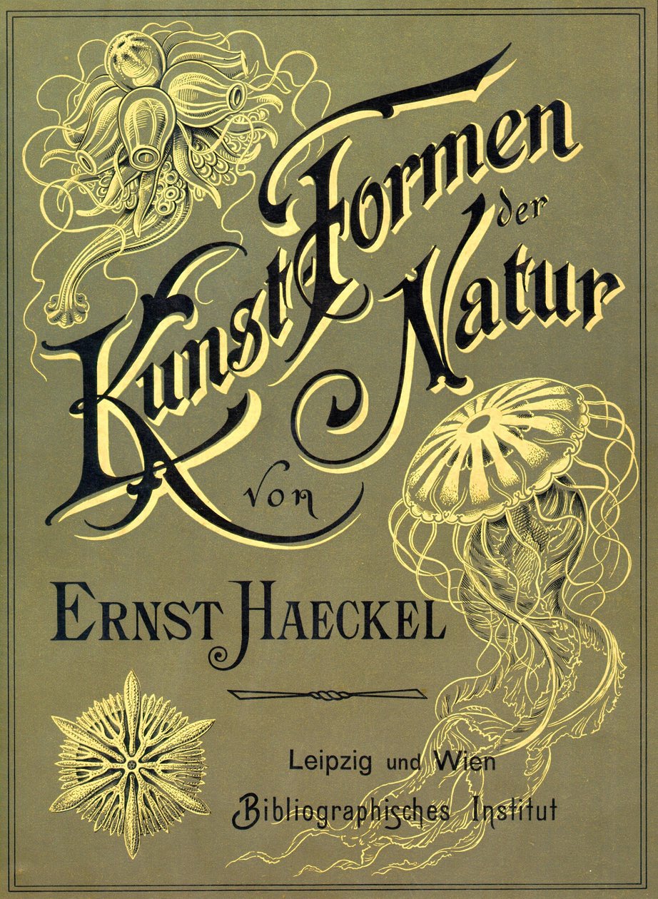 Przednia okładka „Art Forms of Nature” Ernsta Haeckela autorstwa Ernst (after) Haeckel