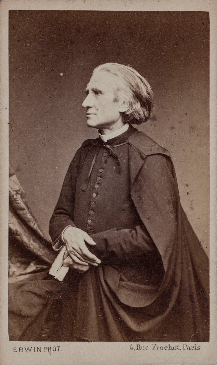 Portret kompozytora Franciszka Liszta 1811-1886. autorstwa Erwin Hanfstaengl