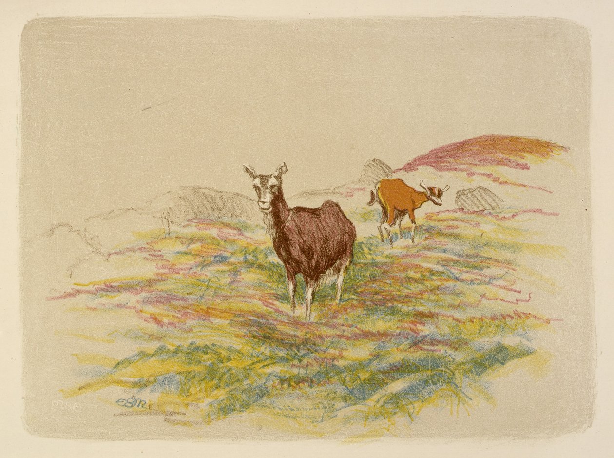 Kozy na polu autorstwa Esther Blaikie MacKinnon