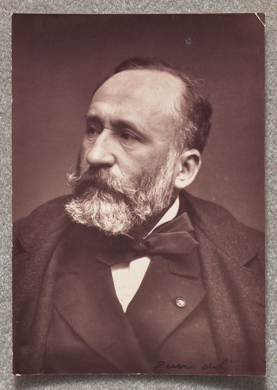Puvis de Chavannes autorstwa Etienne Carjat