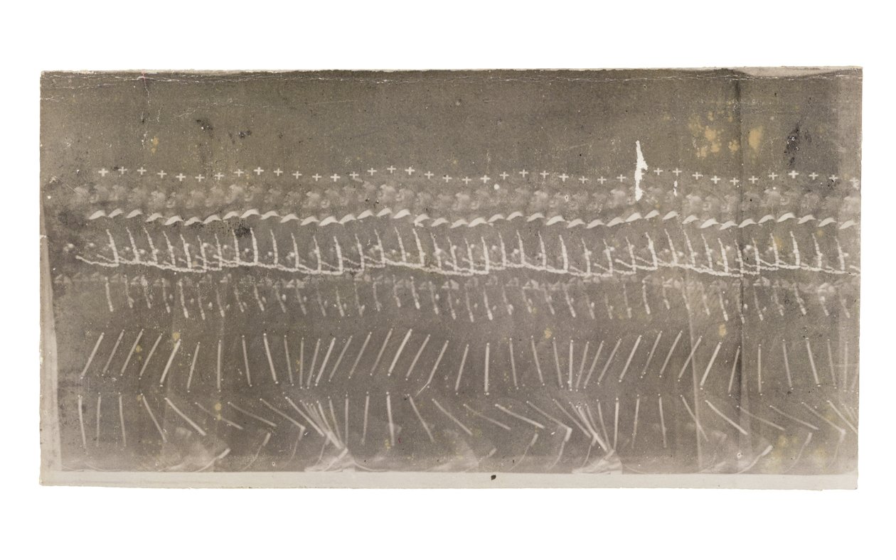 Idący mężczyzna, 1882 autorstwa Etienne Jules Marey