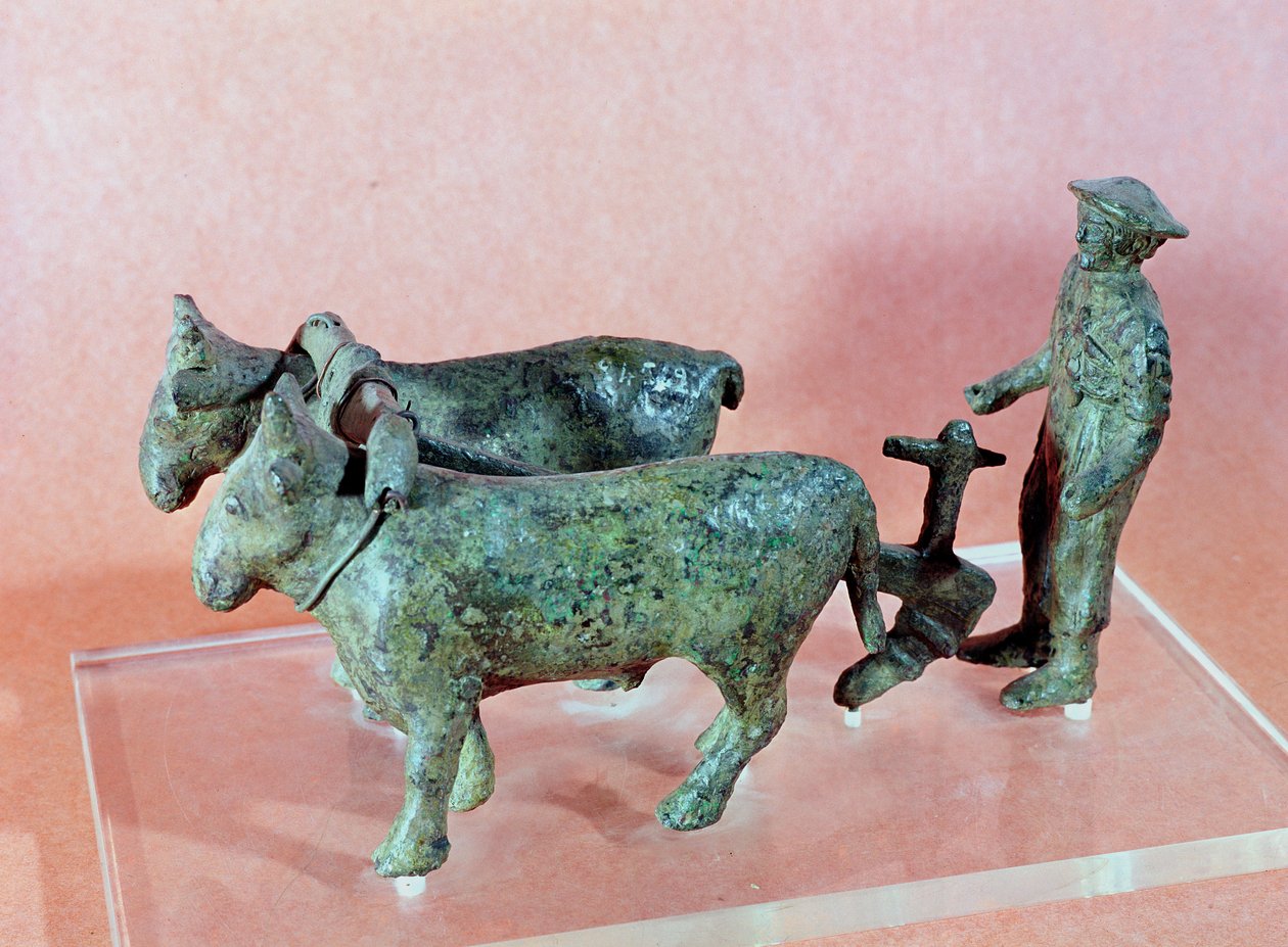 Oracz z Arezzo, z Cerveteri, VI wpne (brąz) autorstwa Etruscan