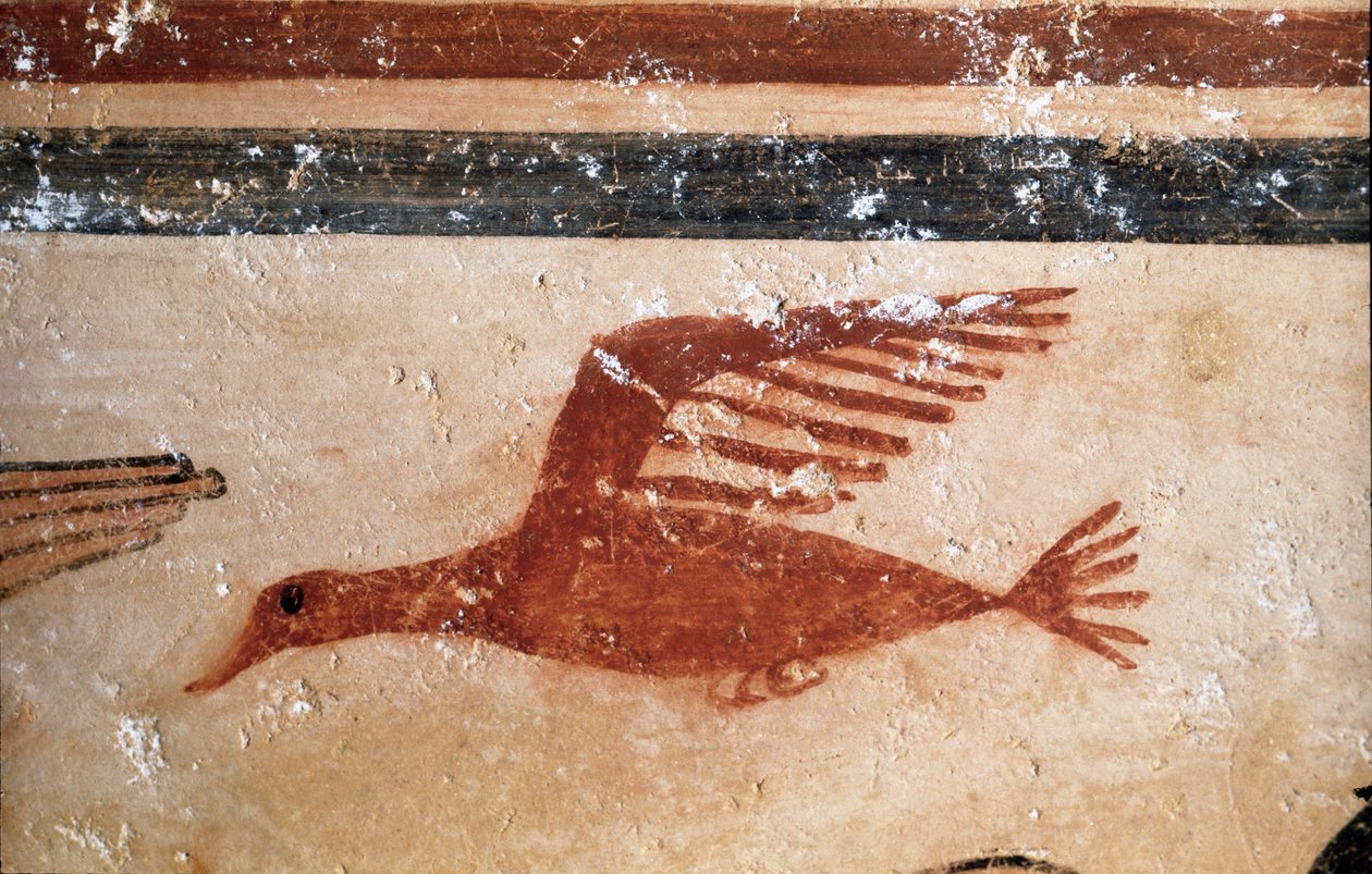 Ptak. (Detal fresku, 530 pne) autorstwa Etruscan