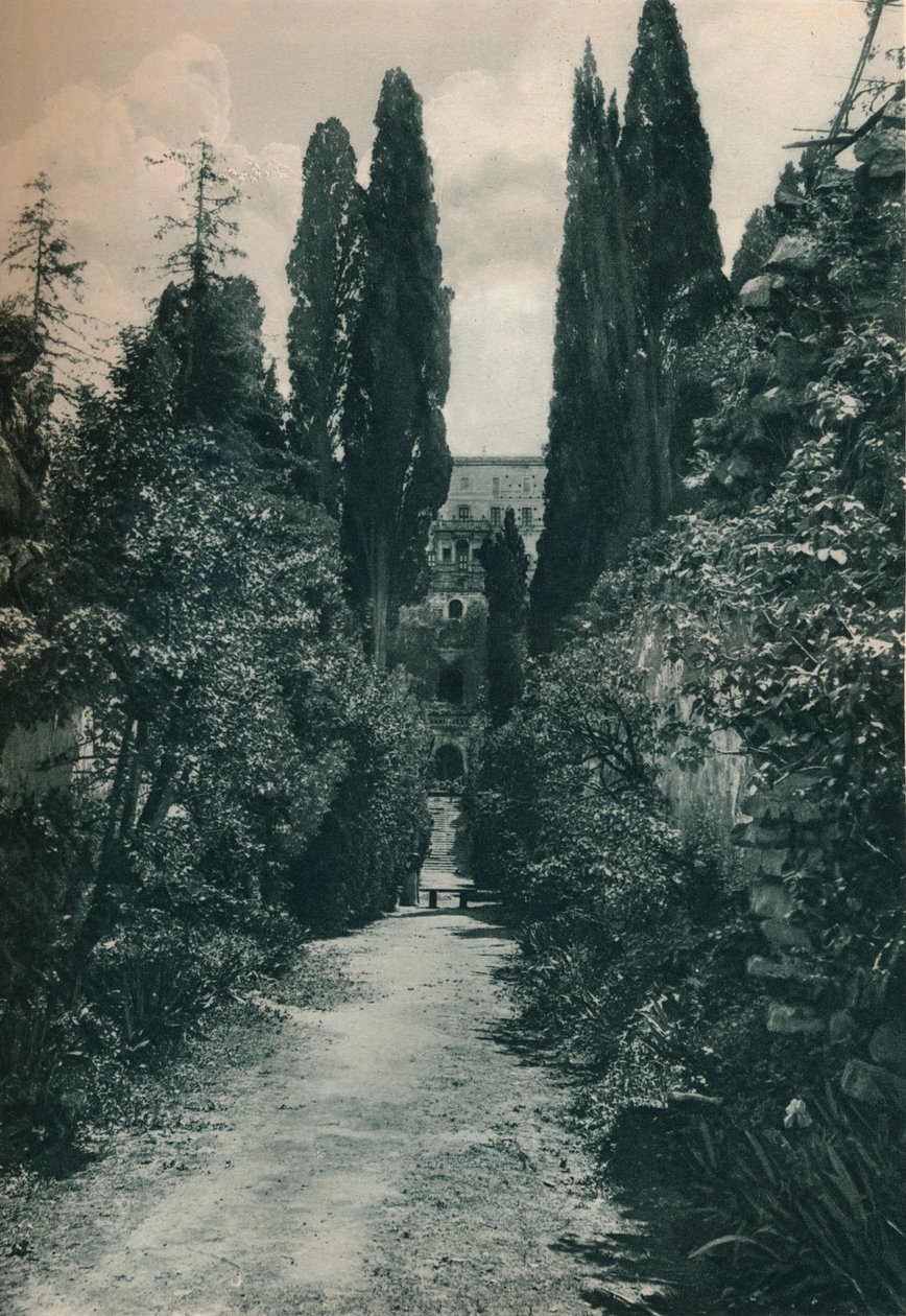 Ogrody Villa d