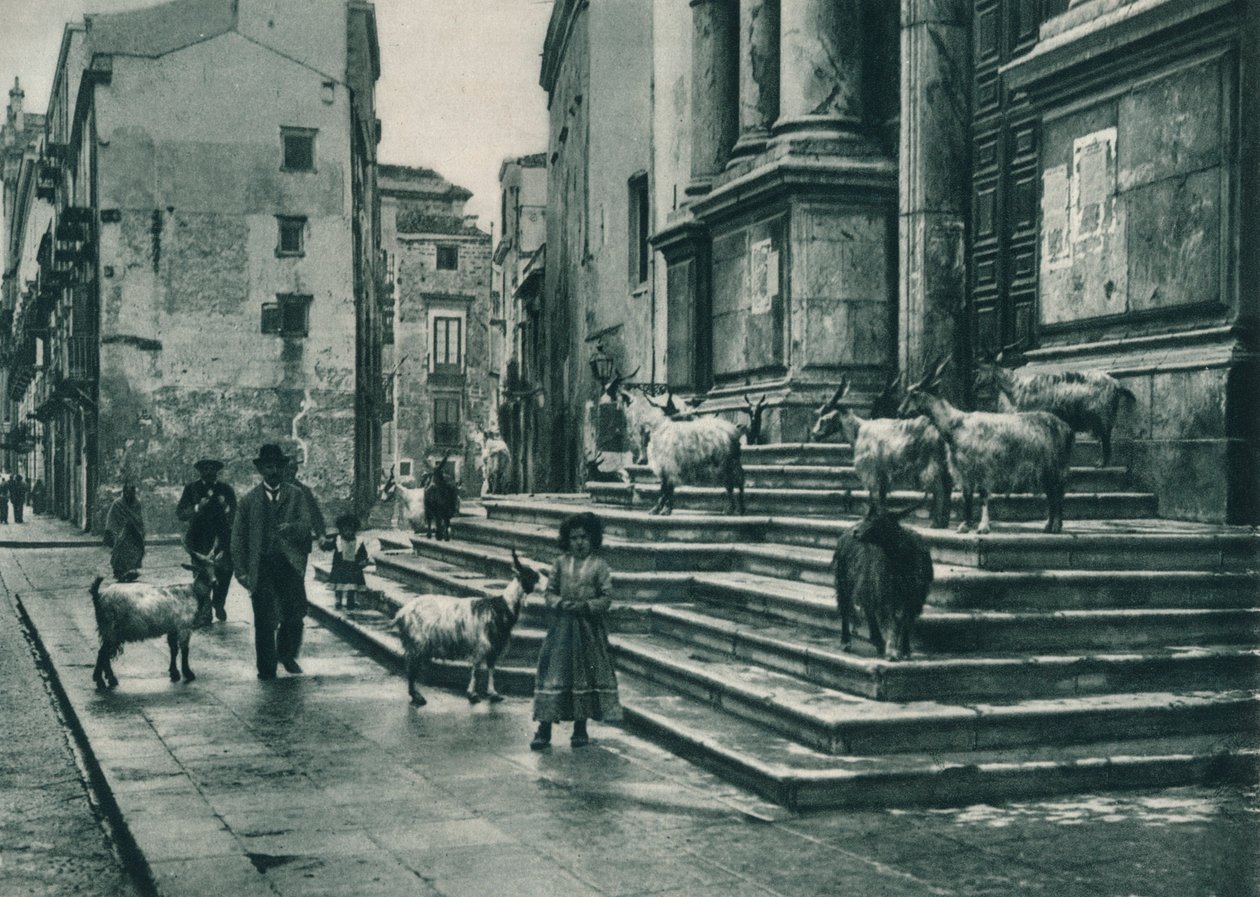 Kozy na schodach katedry, Palermo, Sycylia, Włochy, 1927 autorstwa Eugen Poppel