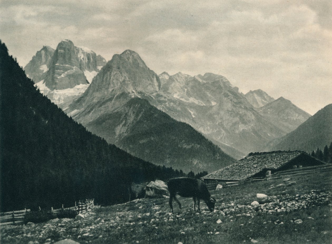 Widok grupy Brenta z pastwiskami alpejskimi, Madonna di Campiglio, Dolomity, Włochy, 1927 autorstwa Eugen Poppel