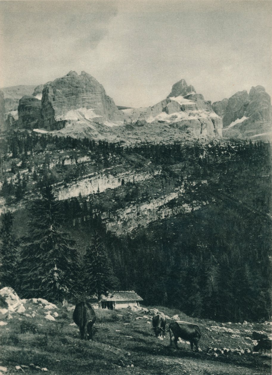 Widok grupy Brenta z pastwiskami alpejskimi, Madonna di Campiglio, Dolomity, Włochy, 1927 autorstwa Eugen Poppel